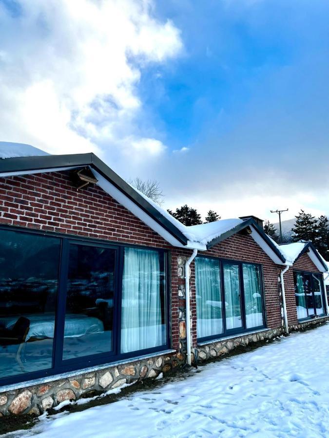 Hotel Masklavi à Kestel  Extérieur photo